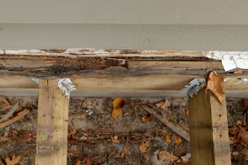 Dry Rot Remediation in Boulder, CO