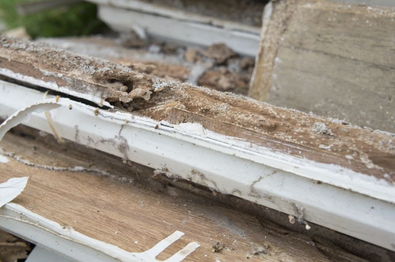 Wood Rot Repair in Arvada, CO