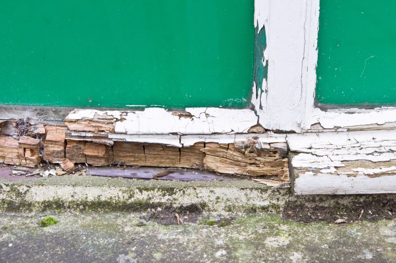 Decay Repair Service in Littleton, CO