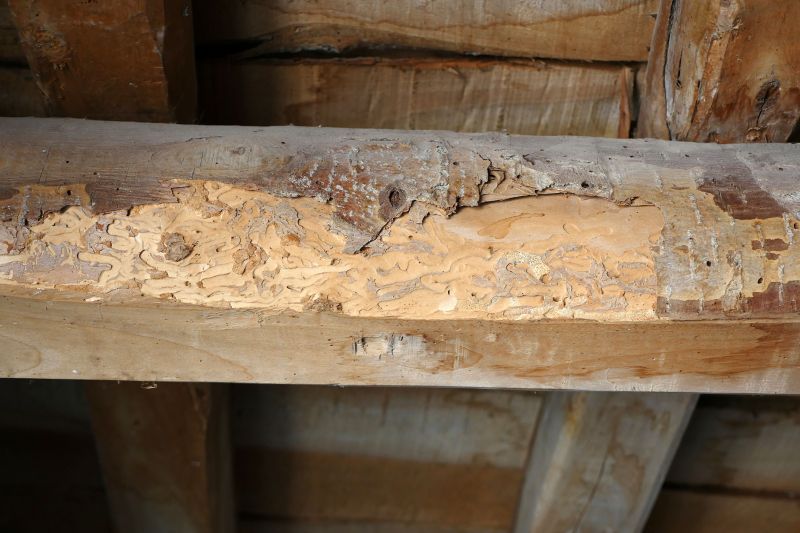 Decay Repair Service in Overland Park, KS