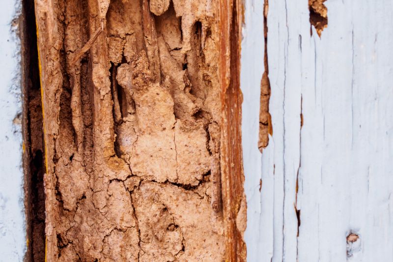 Decayed Wood Replacement in Littleton, CO