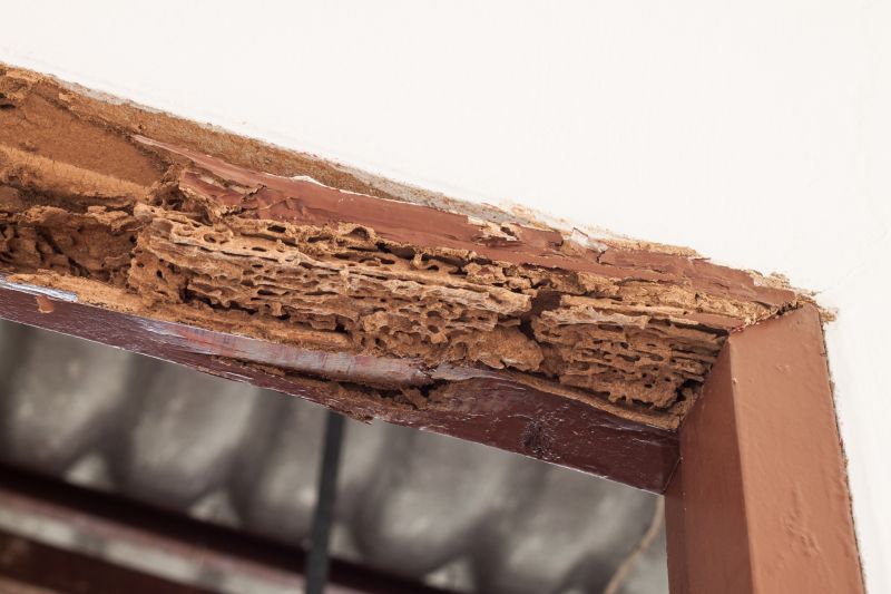 Decayed Wood Replacement in Longmont, CO