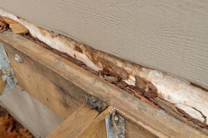 Structural Rot Repair in Olathe, KS
