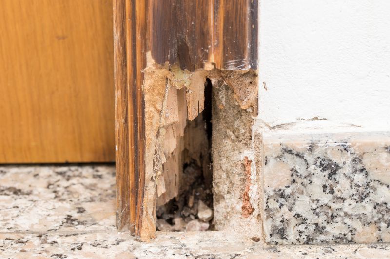 Structural Rot Repair in Overland Park, KS