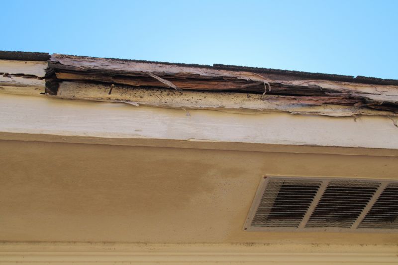 Termite Damage Restoration in Wilmington, NC