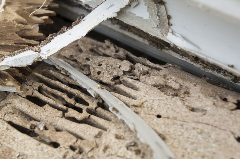 Termite Damage Restoration in Roswell, GA
