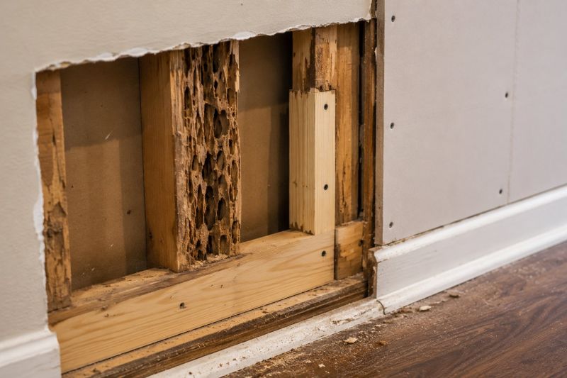 Termite Damage Restoration in Boulder, CO