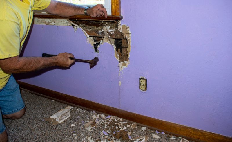 Termite Damage Restoration in Overland Park, KS