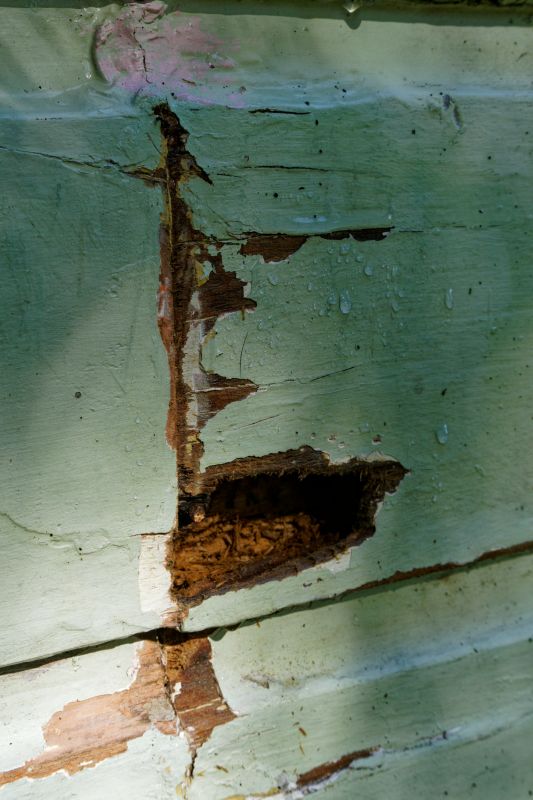 Wood Decay Removal in Alpharetta, GA