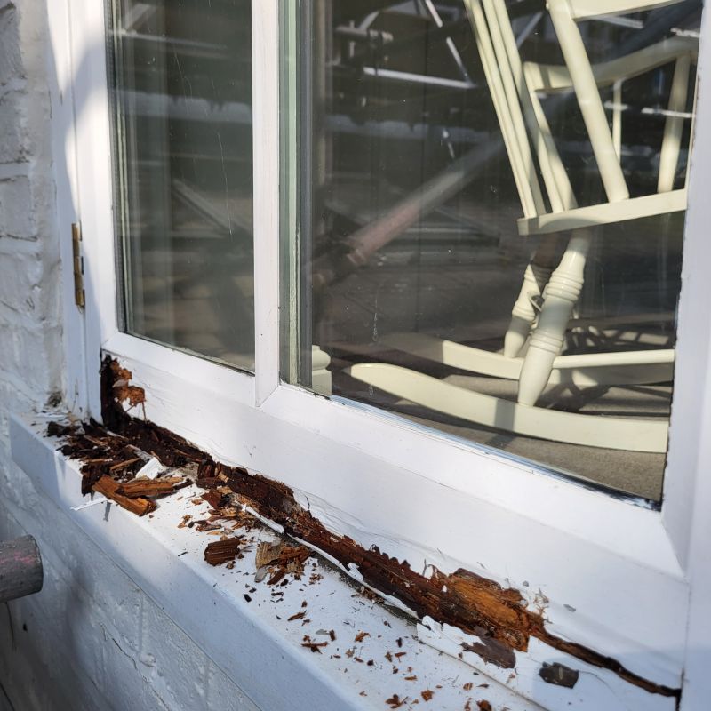 Wood Decay Removal in Longmont, CO