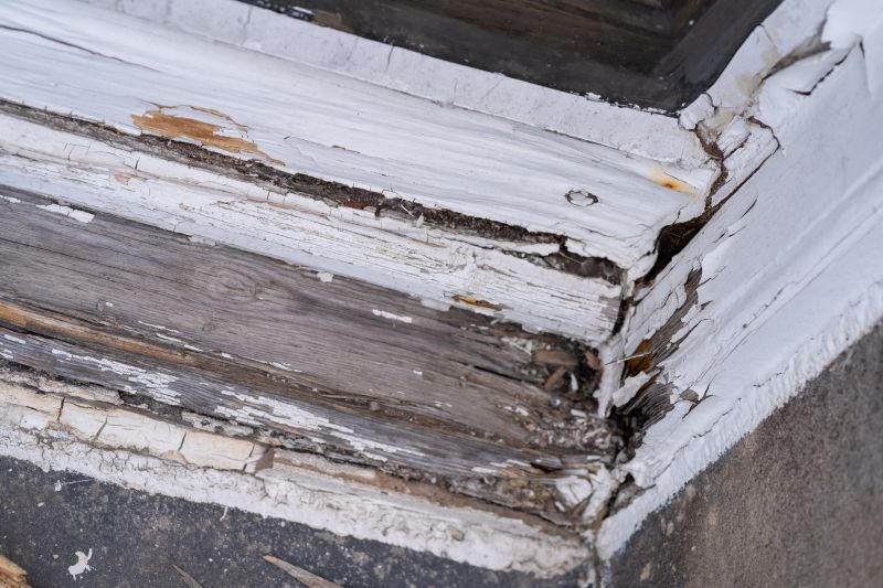 Wood Decay Repair in Denver, CO