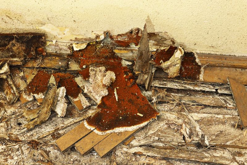 Wood Decay Repair in Roswell, GA