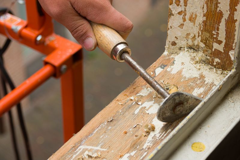 Wood Rot Removal in Boulder, CO