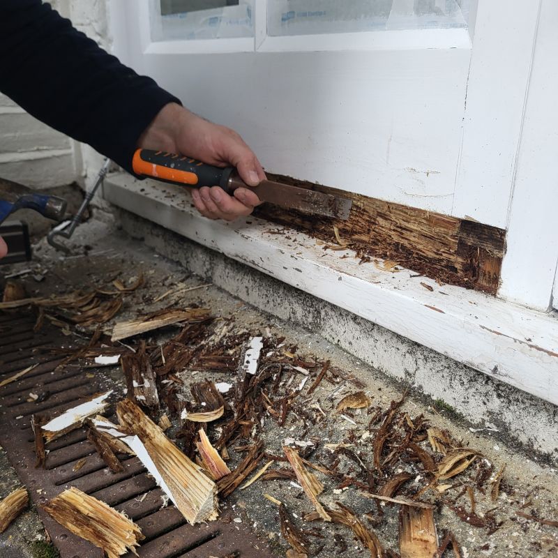 Wood Rot Removal in Olathe, KS